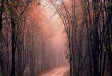 湘润湖南夺取重要胜利，实现逆袭